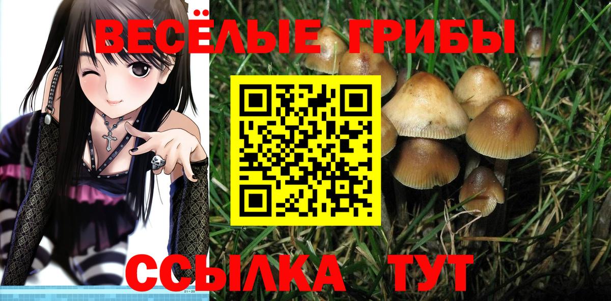 Галлюциногенные грибы Psilocybe  Вход с VPN  Галлюциногенные грибы прущие грибы  Краснотурьинск 
